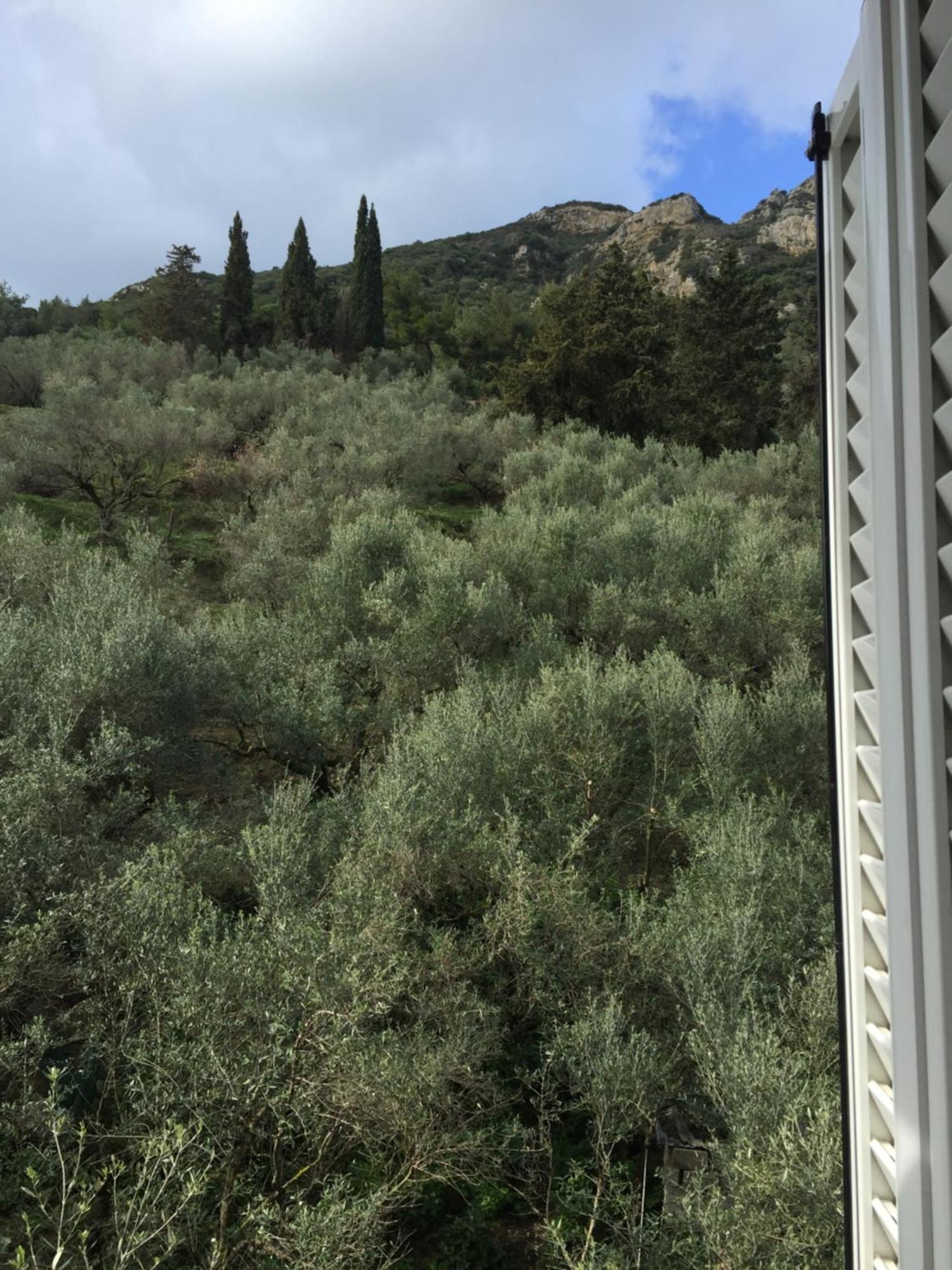 Vasilikí Belvedere Zakynthos Studios الغرفة الصورة