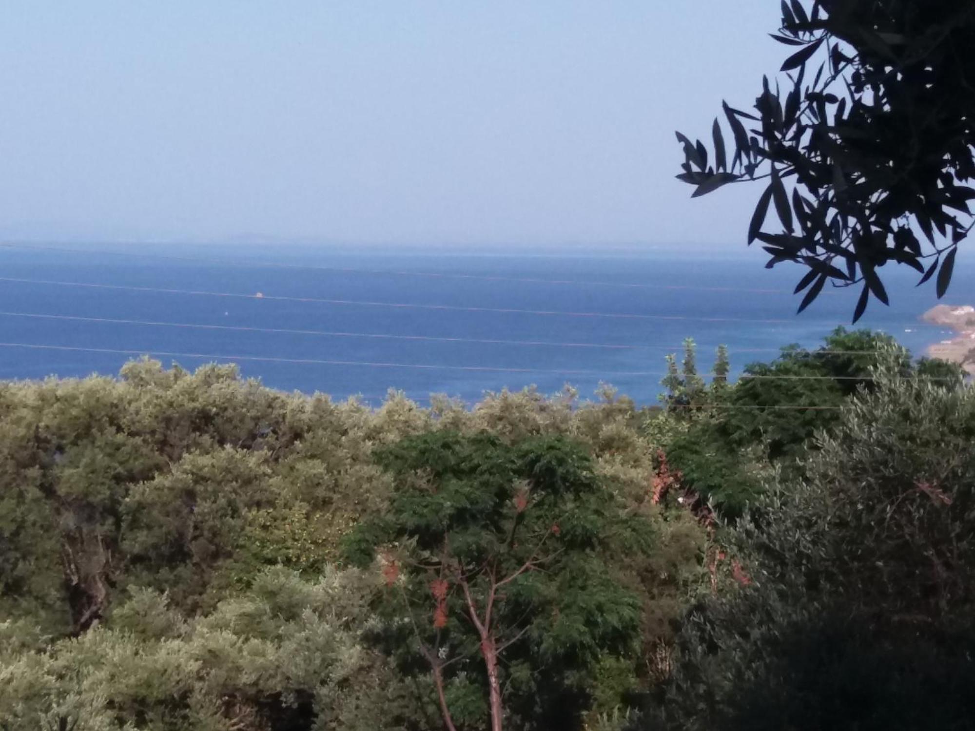 Vasilikí Belvedere Zakynthos Studios الغرفة الصورة