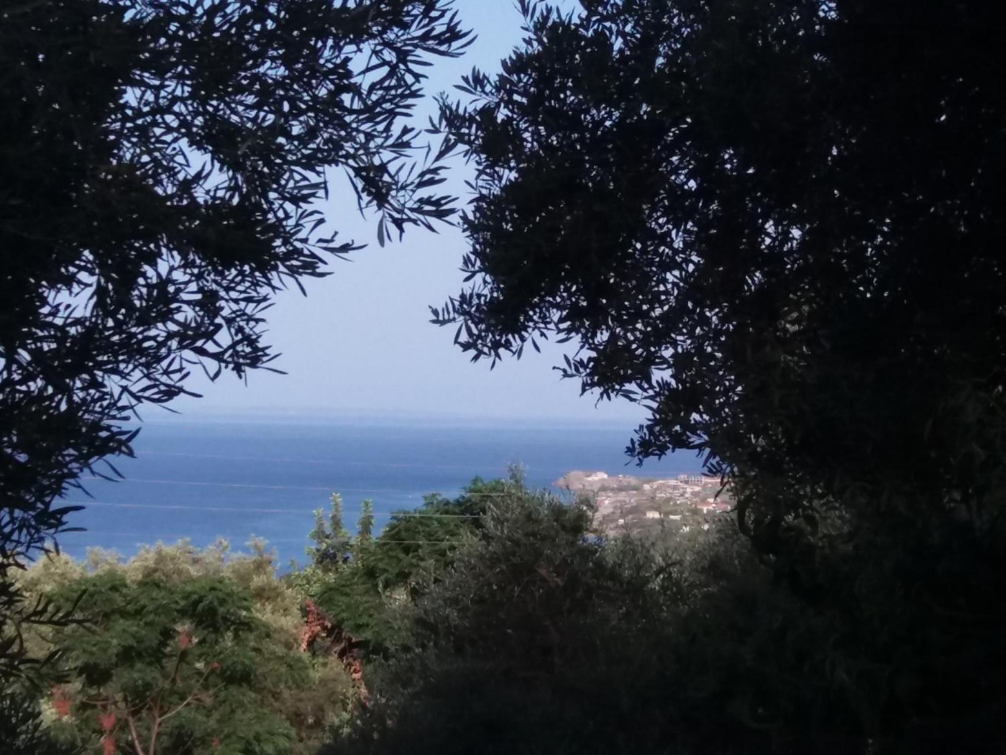 Vasilikí Belvedere Zakynthos Studios الغرفة الصورة