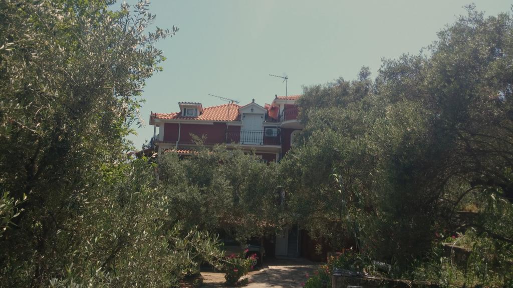 Vasilikí Belvedere Zakynthos Studios المظهر الخارجي الصورة